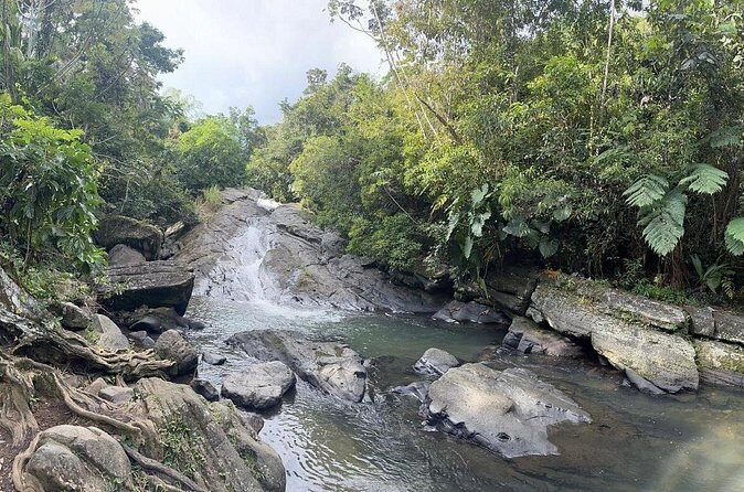 El Yunque & Beach Tour: Waterslide, Waterfall, Food, & Photos - Practical Tips for Participants