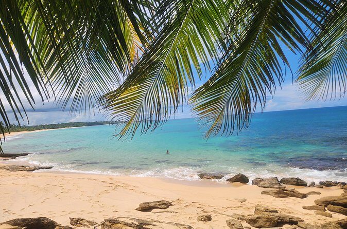 El Yunque & Beach Tour: Waterslide, Waterfall, Food, & Photos - What You Might Want to Consider