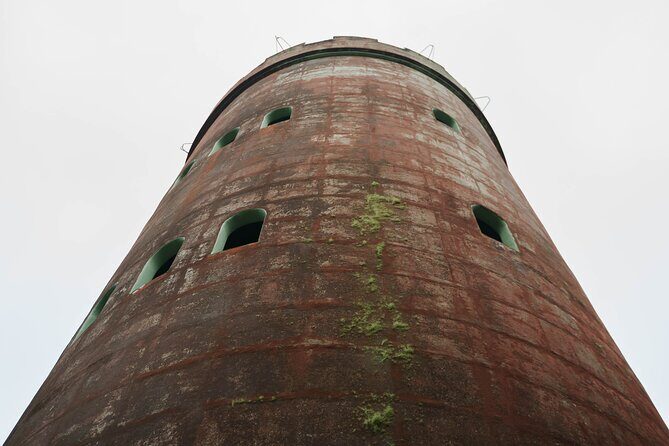 El Yunque Educational Rainforest Walk Easy and Family Friendly - An In-Depth Look at the El Yunque Rainforest Experience