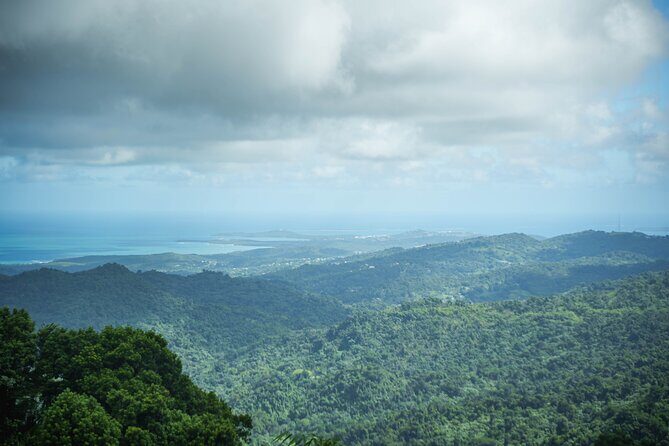 El Yunque Educational Rainforest Walk Easy and Family Friendly - Final Words