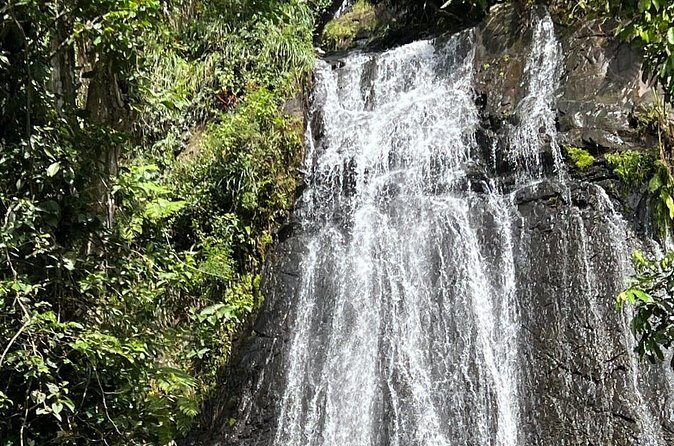 El Yunque Guided Experience! - Practical Details and Value