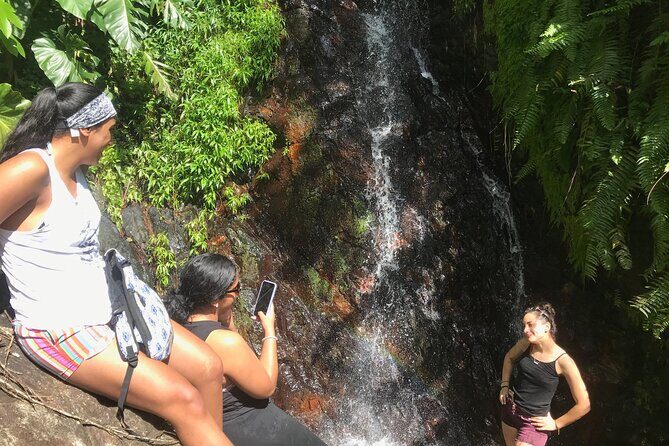 El Yunque Hike Adventure to Las Tinajas Waterfall from Fajardo - An In-Depth Look at the Tour