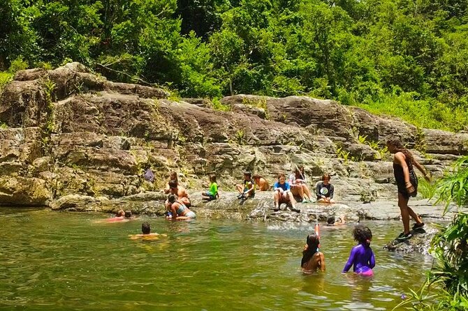 El Yunque Hike, Waterslide, Beach & Cuisine With Transport - Booking Information and Pricing