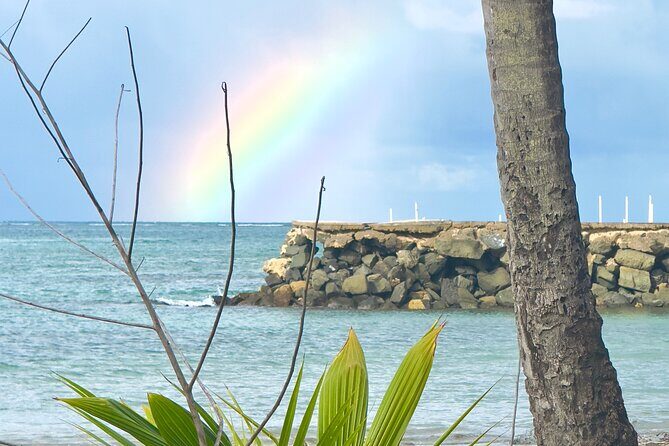 El Yunque Hike, Waterslide & Luquillo Kiosks Food with Transport - The Guides and Experience Quality