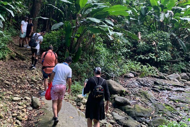 El Yunque National Forest and Luquillo Beach Combo - An In-Depth Look at the Tour Itinerary