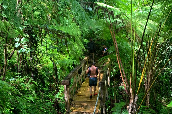 El Yunque National Forest and Luquillo Beach Combo - Traveler Reviews and Feedback