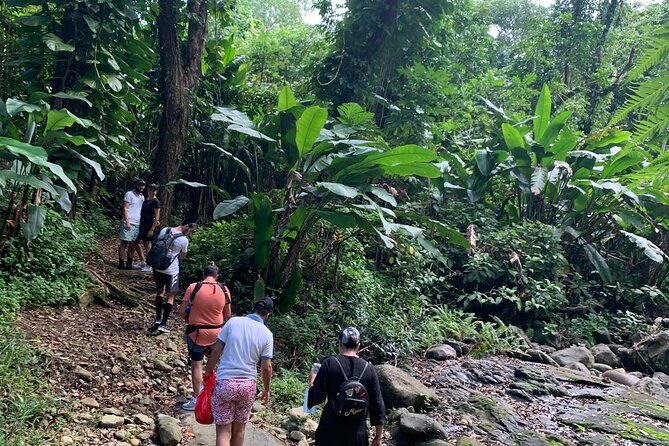 El Yunque National Forest and Luquillo Beach Tour - Accessibility Information
