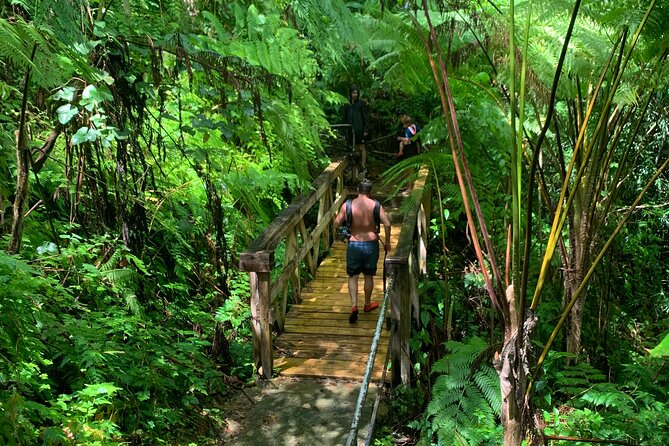 El Yunque National Forest and Luquillo Beach Tour - Important Tour Notes
