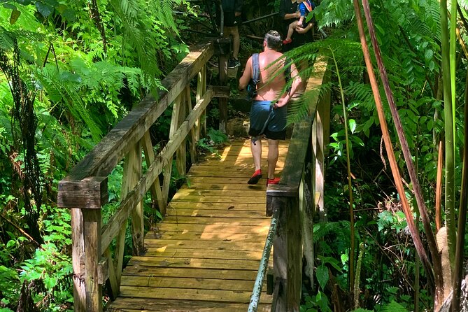 El Yunque National Forest and Luquillo Beach Tour - Booking and Cancellation Policy