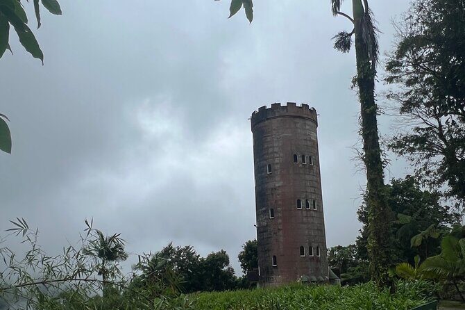 El Yunque National Forest Guided Tour with Transport - Practical Considerations