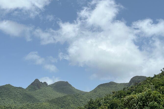 El Yunque National Forest Guided Tour with Transport - Who Should Book This Tour?