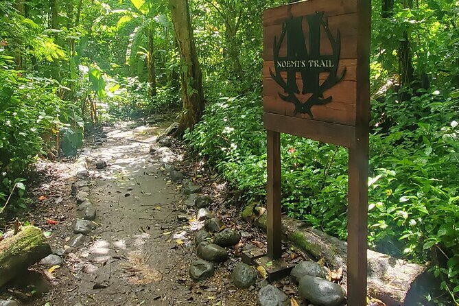 El Yunque National Rainforest and Luquillo Beach Tour - What Travelers Are Saying  