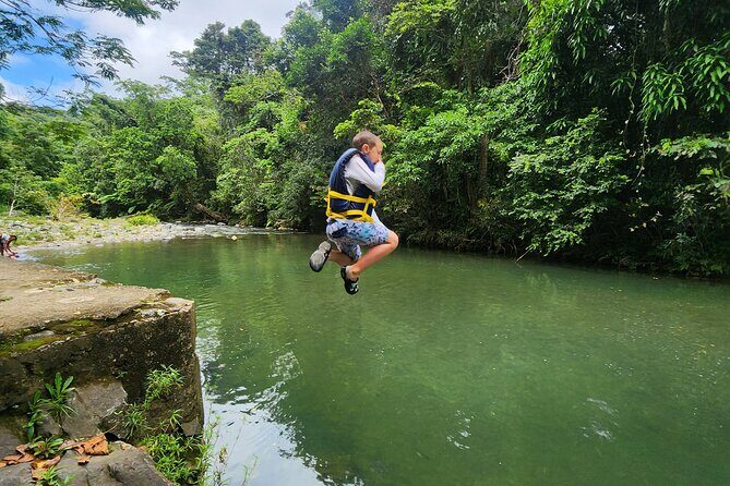 El Yunque National Rainforest and Luquillo Beach Tour - Who Will Love This Tour?  