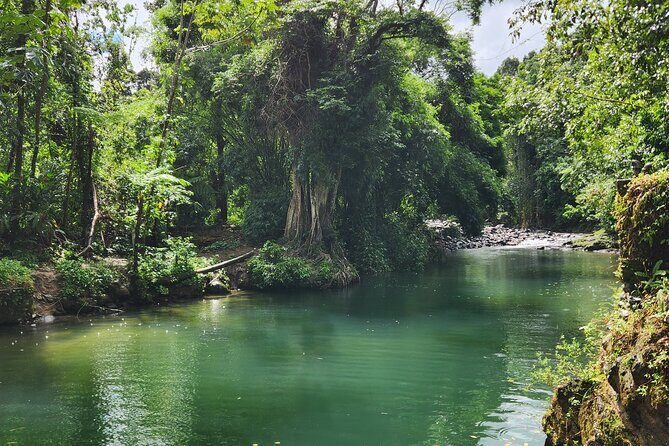 El Yunque National Rainforest and Luquillo Beach Tour - The Sum Up  