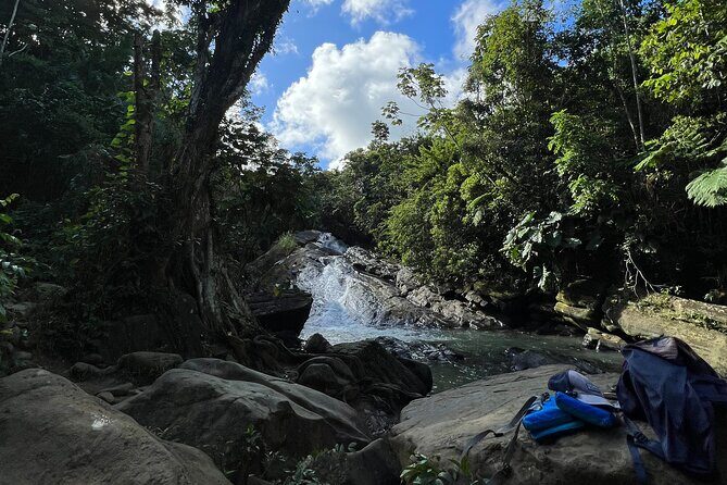 El Yunque Rainforest and Luquillo Beach and Kiosk Private Tour - Authentic Experiences and Value