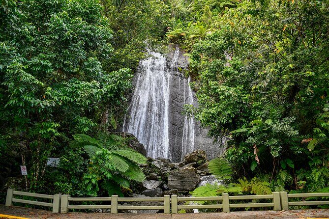 El Yunque Rainforest and Luquillo Beach and Kiosk Private Tour - FAQ