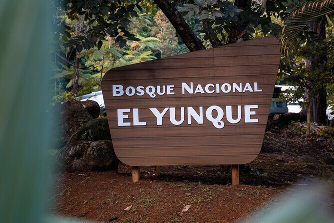 El Yunque Rainforest EZ-going Bus Tour (wheelchair accessible) - Key Points