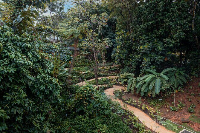 El Yunque Rainforest EZ-going Bus Tour (wheelchair accessible) - A Close Look at the Itinerary