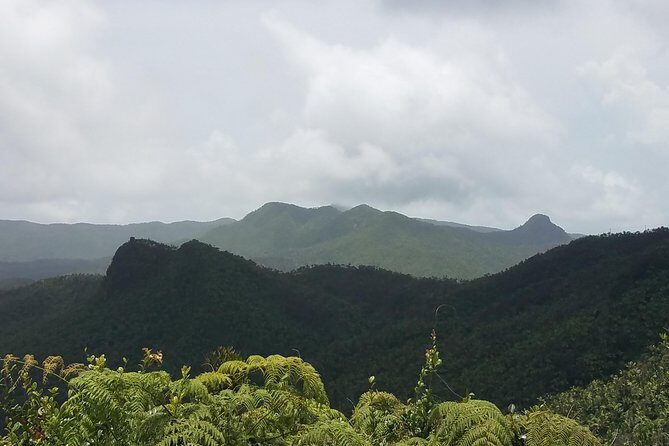 El Yunque Rainforest Full Day Private Tour - Final Thoughts: Is This Tour for You?