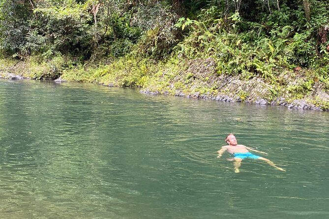 El Yunque Rainforest Guided Day Tour from San Juan - An In-Depth Look at the El Yunque Rainforest Day Tour