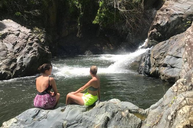 El Yunque Rainforest Guided Hiking With Waterfall Tour - Immerse in Natures Wonders