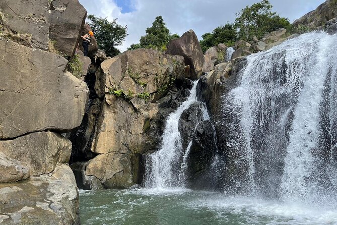 El Yunque Rainforest Hike and Luquillo Beach Tour - Tour Duration