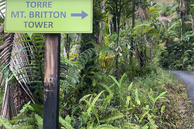 El Yunque Rainforest Hike with Transport from San Juan - What’s Included and What to Bring
