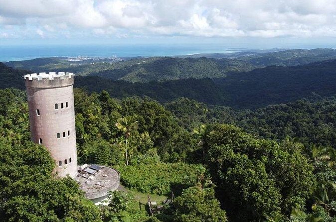 El Yunque Rainforest Hike with Transport from San Juan - What Reviewers Say: Authentic Experiences and Tips