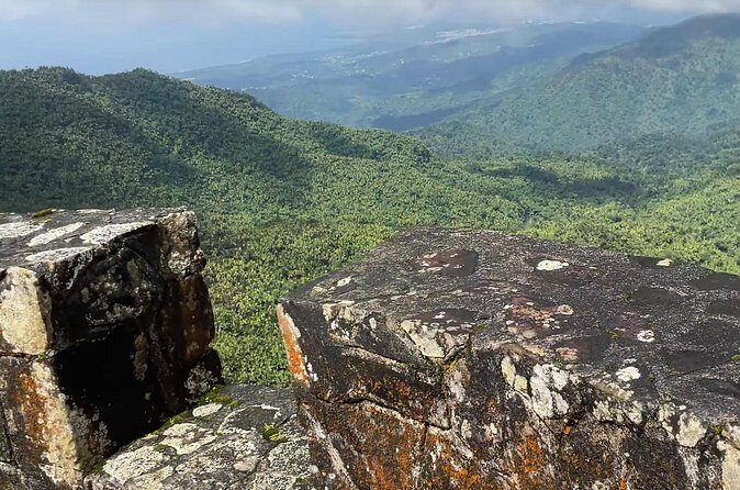 El Yunque Rainforest Hike with Transport from San Juan - The Value Proposition