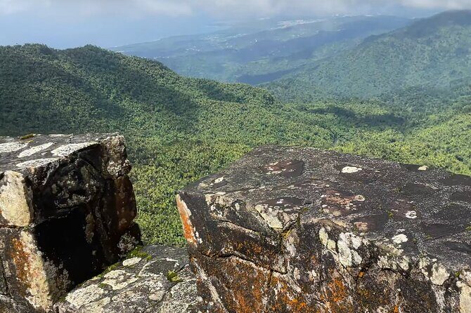 El Yunque Rainforest Hike with Transport from San Juan - Who Will Benefit Most?
