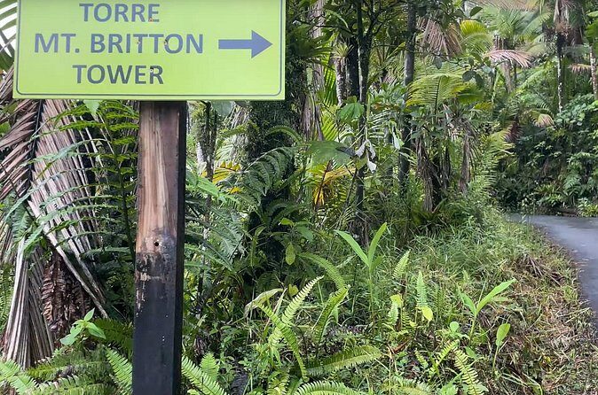 El Yunque Rainforest Hike with Transport from San Juan - The Sum Up