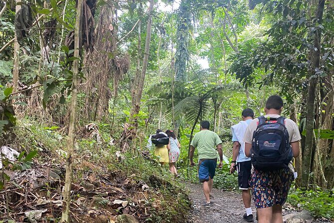 El Yunque Rainforest Hiking Tour from San Juan - What to Expect on the El Yunque Rainforest Hiking Tour