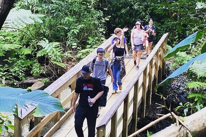 El Yunque Rainforest Hiking Tour from San Juan - The Sum Up