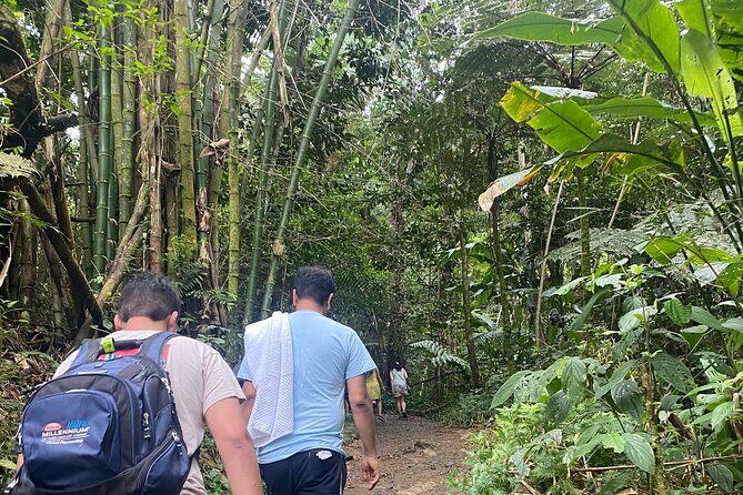 El Yunque Rainforest Hiking Tour from San Juan - FAQ
