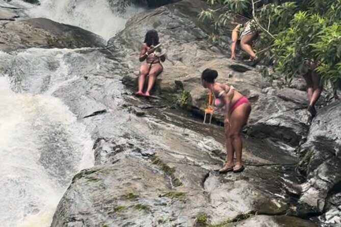 El Yunque Rainforest Party Tour with Waterslide and Rope Swinging - Authenticity and Experience Quality