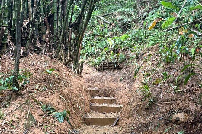 El Yunque Waterslides, Jumps, swing! small business owner:) - Pricing and Value