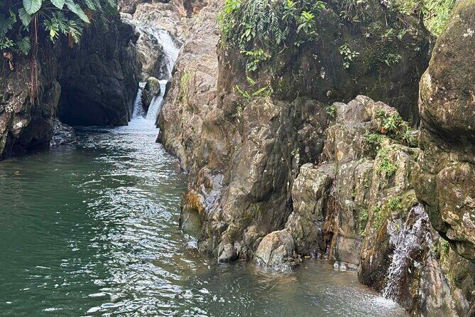 El Yunque Waterslides, Jumps, swing! small business owner:) - The Sum Up