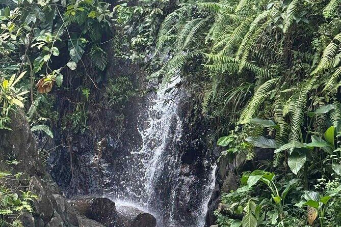 El Yunque Waterslides, Jumps, swing! small business owner:) - FAQ