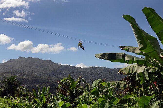 El Yunque Ziplining in Puerto Rico - Key Points