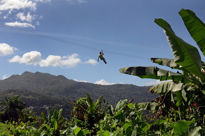 El Yunque Ziplining in Puerto Rico - Health and Fitness Requirements
