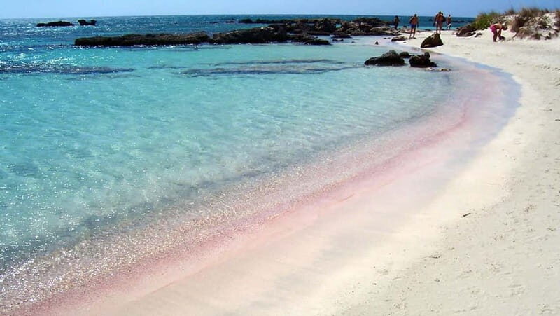 Elafonisi Bay - PINK COLOR SAND BEACH - Key Points