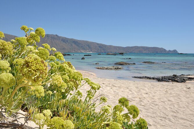 Elafonissi Beach Crete Day Trip - Who Will Love This Tour?