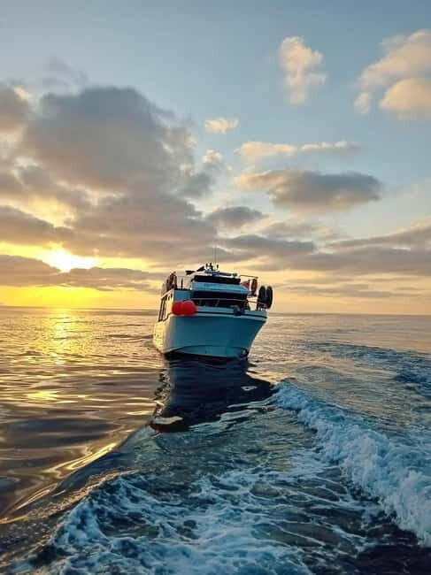 Elba fishing tourism: fishing demonstration with tasting of the catch - Who Should Book This Tour?