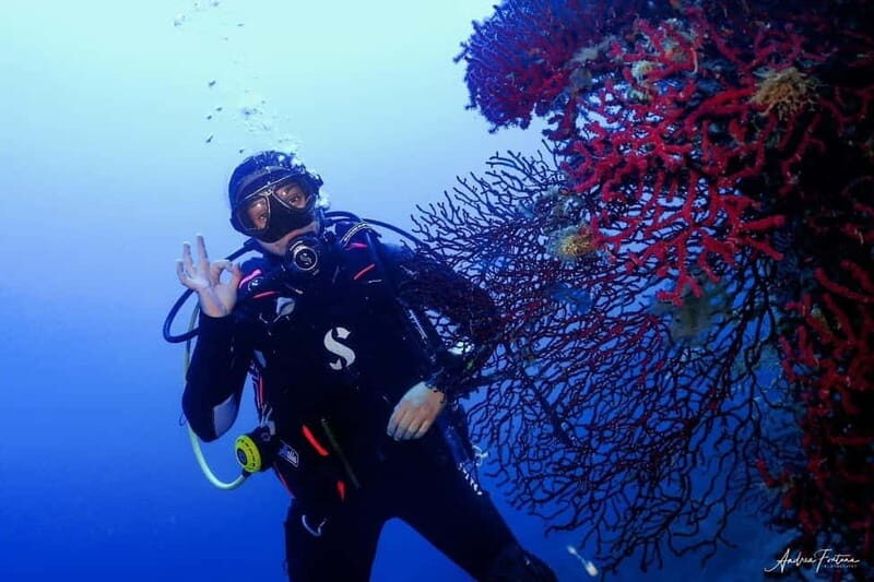 Elba Island: Double Dive with Instructor and Snacks - What Is This Tour All About?