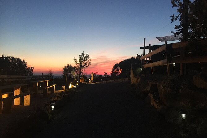Elba Island Farmhouse Tasting Experience - Reviewer Highlight
