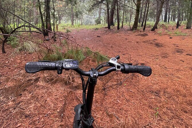 Electric Bicycle Activity in Izta Popo Park - Exploring the Electric Bicycle Tour in Izta Popo Park: A Practical Review
