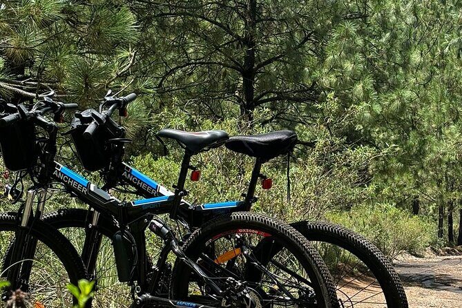 Electric Bicycle Activity in Izta Popo Park - Final Thoughts: The Value of a Unique Natural Experience