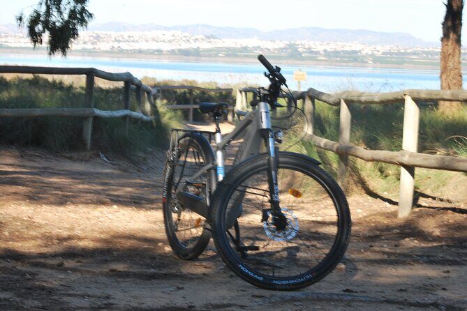 Electric Bicycle Tour through the Natural Parks of Torrevieja - The Sum Up