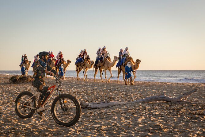 Electric Bike and Beach Camel Ride with Mexican Buffet Lunch - Key Points