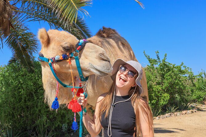 Electric Bike and Beach Camel Ride with Mexican Buffet Lunch - Final Thoughts: Is It Worth It?